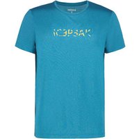 ICEPEAK Herren Shirt BEARDEN ICEPEAK Herren Shirt BEARDEN von icepeak