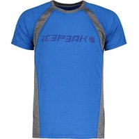 ICEPEAK Herren Shirt DESTIN von icepeak