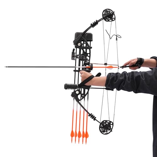 Compoundbogen Set Kit Bogenschießen 30-60lbs, Bogenset für Bogenschießen Sportbogen, Verstellbarer Jagd Compoundbogenset 320FPS, Erwachsener Einsteiger Profi Bogen von ieLsngai