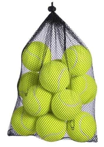 insum Tennisbälle, 12 Stück, fortgeschrittene Trainingsbälle für Anfänger, Übungsbälle, Haustier-Hunde-Tennisbälle mit Netztasche für einfachen Transport von insum
