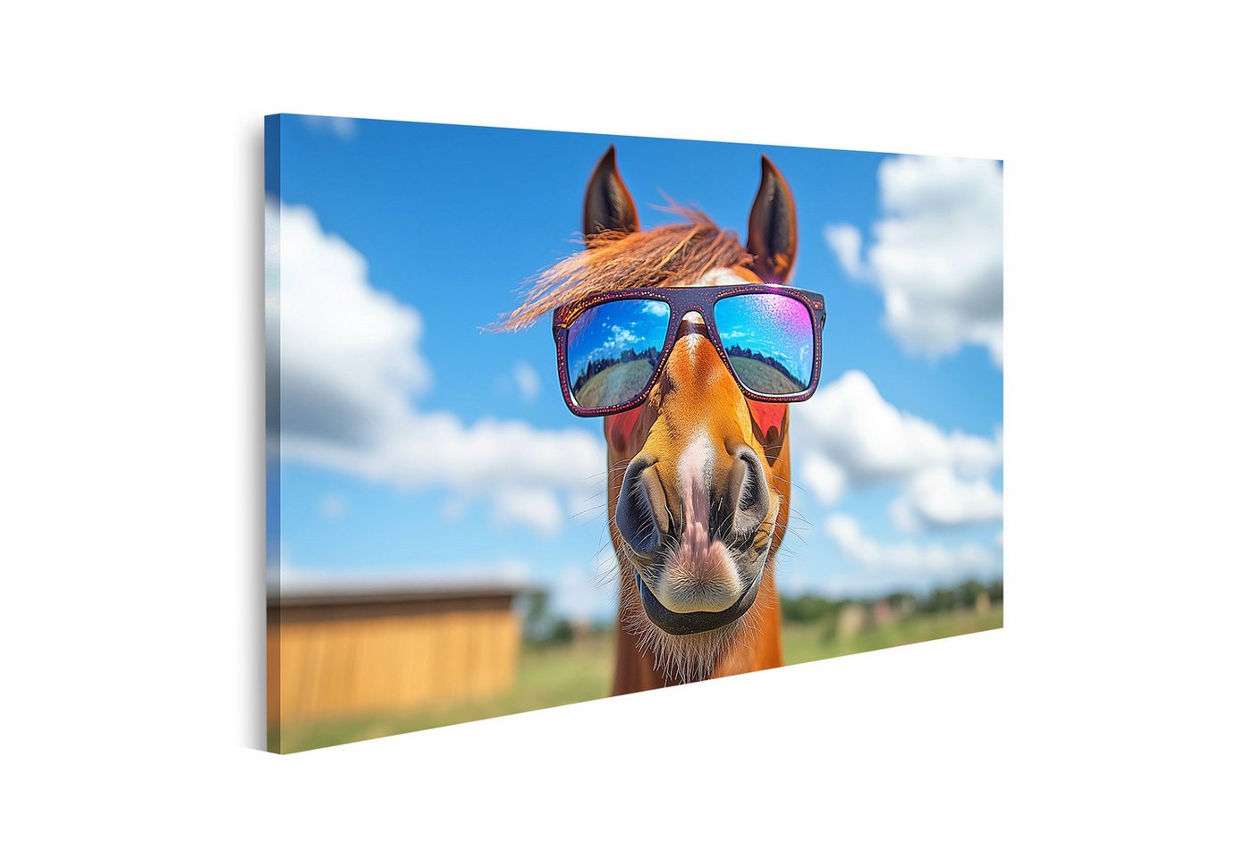 islandburner Leinwandbild, Pferd mit Sonnenbrille und blauem Himmel von islandburner