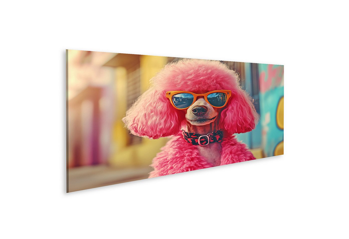 islandburner Leinwandbild Rosa Pudel mit Sonnenbrille islandburner Leinwandbild Rosa Pudel mit Sonnenbrille von islandburner
