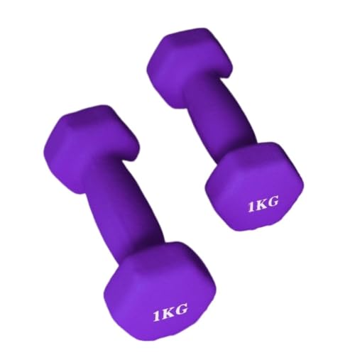 Hantel Bunte Damen Kleine Hanteln Paar Aerobic Abnehmen Arm Körper Fitness Übung Kniebeugen Schaukel Rudern Dumbell(Purple,6kg) von kfzhenqi