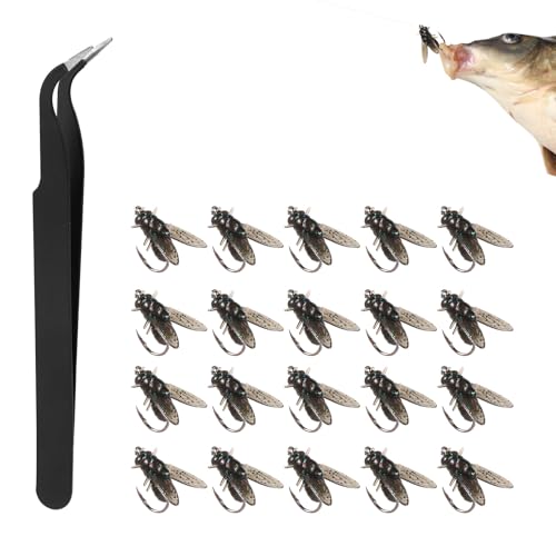 20stkr Bionischer Fliegenfischköder, Fliegenfischen Köder Set Bionischer Köder zum Fliegenfischen Bionischer Köder Trockenfliegen Angelzubehör für Salzwasser- und Süßwasserfische 20stkr Bionischer Fliegenfischköder, Fliegenfischen Köder Set Bionischer Köder zum Fliegenfischen Bionischer Köder Trockenfliegen Angelzubehör für Salzwasser- und Süßwasserfische von lasuroa