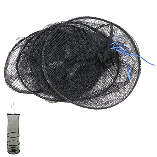 Fischernetz Faltbar Setzkescher Köderfische Angelzubehör - Schleppnetz Kescher Angeln Das Netz Nylon Einfacher Fischkorb Geeignet für Die Platzierung Von Fischen und Garnelen Beim, 1 Stücke Fischernetz Faltbar Setzkescher Köderfische Angelzubehör - Schleppnetz Kescher Angeln Das Netz Nylon Einfacher Fischkorb Geeignet für Die Platzierung Von Fischen und Garnelen Beim, 1 Stücke von lemgyiamz