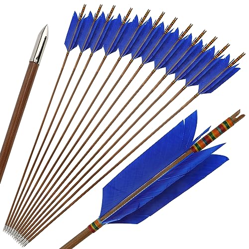 limaity 33Inch Bambuspfeile Traditionelle handgefertigte Bambuspfeile Jagdpfeile Bogenschießen Zielübung Bambuspfeile mit 4" Truthahnfeder für Recurvebogen Traditioneller Langbogen (6, Blau) von limaity
