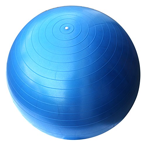 lisaro Gymnastikball aufblasbarer,55cm/65cm Anti-Burst Extra Dicke Yoga-Geburtsschwangerschaft Pilates Core Stärken Sie die Fitness-Gymnastikbälle lisaro Gymnastikball aufblasbarer,55cm/65cm Anti-Burst Extra Dicke Yoga-Geburtsschwangerschaft Pilates Core Stärken Sie die Fitness-Gymnastikbälle von lisaro