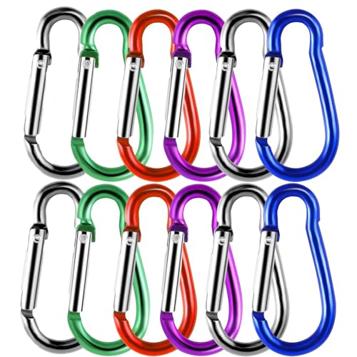 12 Stück Karabinerhaken Klein, Karabiner Bunt Karabiner Aluminium Schnapphaken für Camping Reisen Wandern Rucksack (Stil 1) von lylqmy