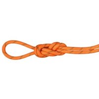 8.0 Alpine Dry Rope, Dry Standard.safety orange-boa.60 m, Mammut von mammut