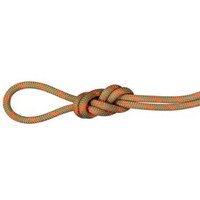 8.0 Alpine Dry Rope, Dry Standard.boa-safety orange.50 m, Mammut von mammut