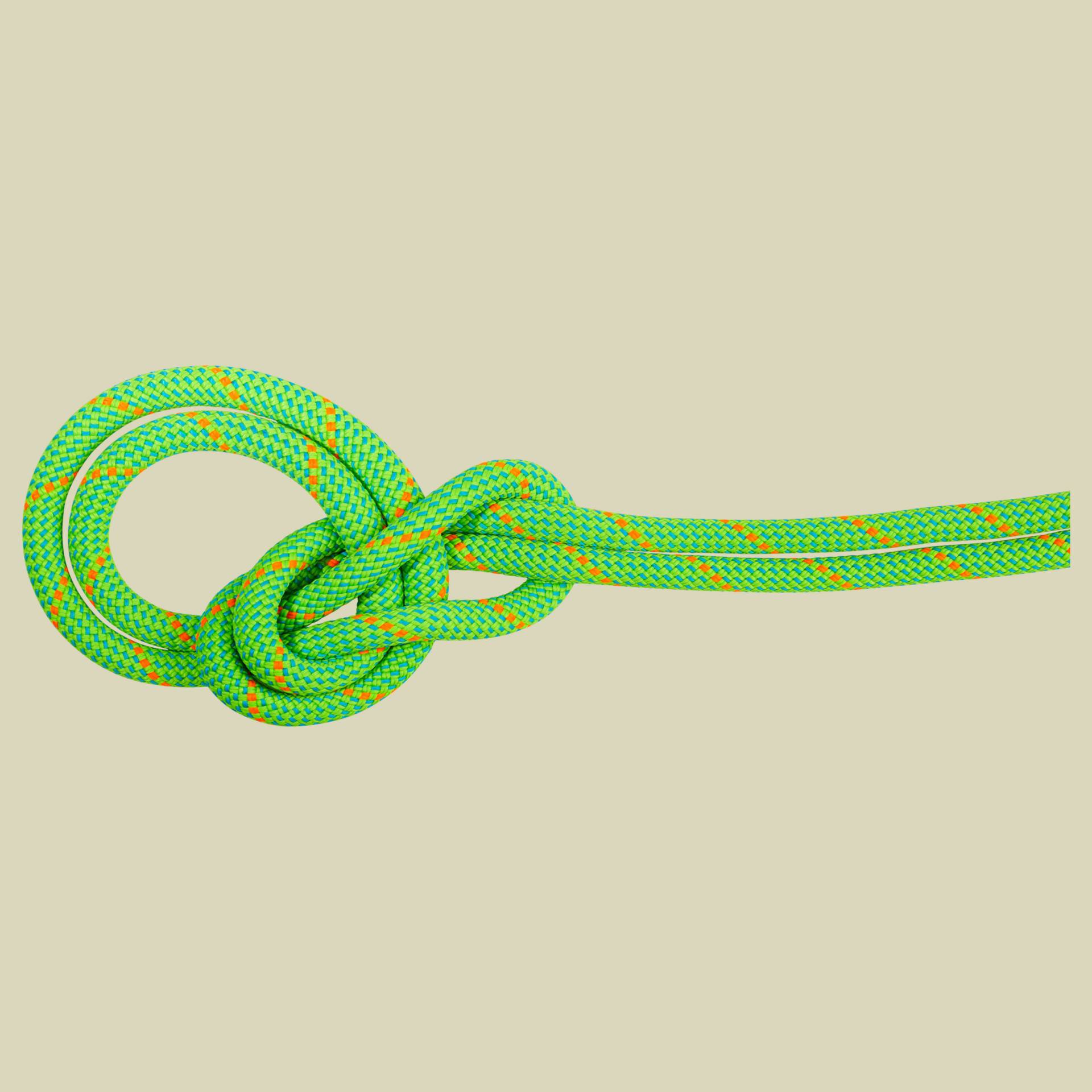 9.5 Crag Eco Dry Rope 80 m grün - neon green-ocean 9.5 Crag Eco Dry Rope 80 m grün - neon green-ocean von mammut