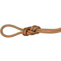 MAMMUT  8.0 Alpine Dry Rope von mammut