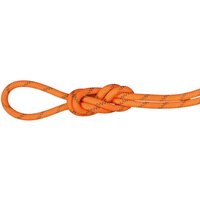 MAMMUT 8.0 Alpine Dry Rope MAMMUT 8.0 Alpine Dry Rope von mammut