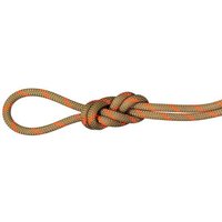 MAMMUT 8.0 Alpine Dry Rope MAMMUT 8.0 Alpine Dry Rope von mammut
