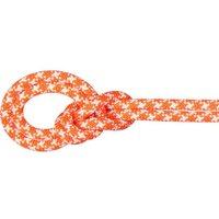 MAMMUT  9.5 Crag Classic Rope von mammut