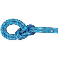 MAMMUT  9.8 Crag Classic Rope von mammut