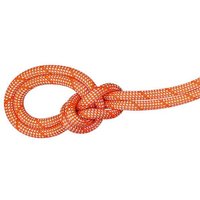MAMMUT 9.8 Crag Classic Rope MAMMUT 9.8 Crag Classic Rope von mammut