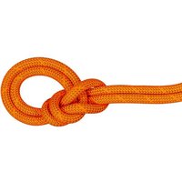 MAMMUT  9.8 Crag Dry Rope von mammut