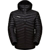 MAMMUT Herren Funktionsjacke Albula IN Hooded Jacket Men von mammut