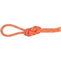 Mammut 7.5 Alpine Sender Dry Kletterseil von mammut