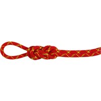 Mammut 8.0 Alpine Core Protect Dry Kletterseil Mammut 8.0 Alpine Core Protect Dry Kletterseil von mammut