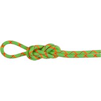 Mammut 8.0 Alpine Core Protect Dry Kletterseil Mammut 8.0 Alpine Core Protect Dry Kletterseil von mammut