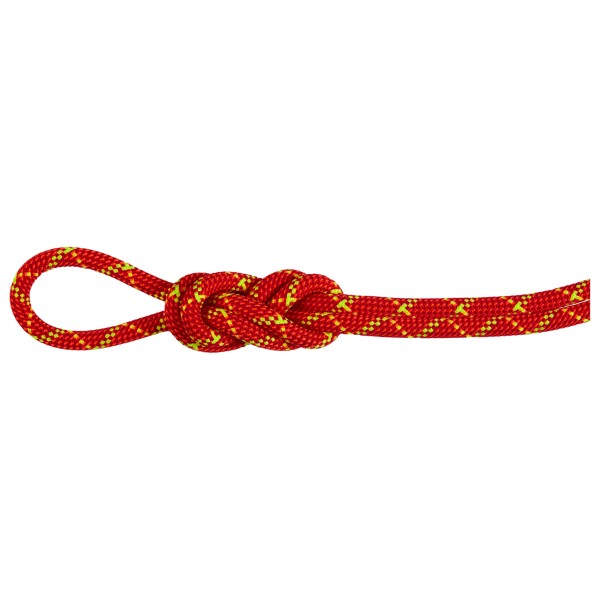 Mammut - 8.0 Alpine Core Protect Dry Rope - Halbseil Gr 50 m rot/weiß Mammut - 8.0 Alpine Core Protect Dry Rope - Halbseil Gr 50 m rot/weiß von mammut