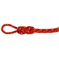 Mammut 8.0 Alpine Core Protect Dry Rope - Halbseil / Zwillingsseil Mammut 8.0 Alpine Core Protect Dry Rope - Halbseil / Zwillingsseil von mammut