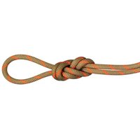 Mammut 8.0 Alpine Dry Rope - Halbseil / Zwillingsseil von mammut