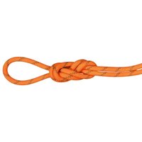 Mammut 8.0 Alpine Dry Rope - Halbseil / Zwillingsseil Mammut 8.0 Alpine Dry Rope - Halbseil / Zwillingsseil von mammut