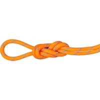 Mammut 8.7 Alpine Sender Dry Kletterseil von mammut