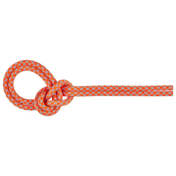 Mammut - 8.7 Crag Sender Dry Rope - Einfachseil Gr 70 m rosa von mammut