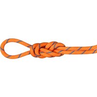 Mammut 9.0 Alpine Sender Dry Kletterseil Mammut 9.0 Alpine Sender Dry Kletterseil von mammut
