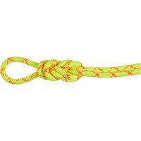 Mammut 9.5 Alpine Core Protect Dry Kletterseil Mammut 9.5 Alpine Core Protect Dry Kletterseil von mammut