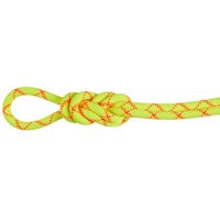 Mammut 9.5 Alpine Core Protect Dry Rope - Kletterseil Mammut 9.5 Alpine Core Protect Dry Rope - Kletterseil von mammut