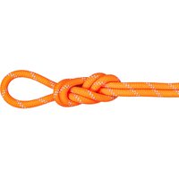 Mammut 9.5 Alpine Dry Kletterseil Mammut 9.5 Alpine Dry Kletterseil von mammut