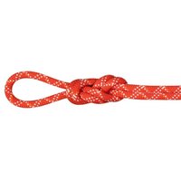 Mammut 9.5 Gym Classic Rope - Kletterseil Mammut 9.5 Gym Classic Rope - Kletterseil von mammut