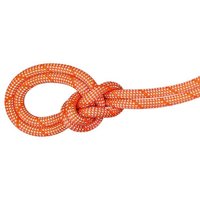 Mammut 9.8 Crag Classic Rope - Kletterseil Mammut 9.8 Crag Classic Rope - Kletterseil von mammut