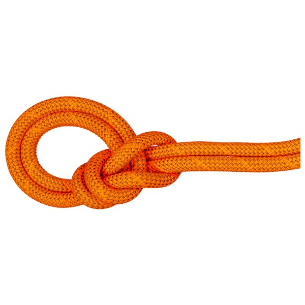Mammut - 9.8 Crag Dry Rope - Einfachseil Gr 80 m orange Mammut - 9.8 Crag Dry Rope - Einfachseil Gr 80 m orange von mammut