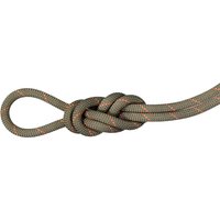 Mammut 9.9 Gym Workhorse Classic Rope - Kletterseil von mammut