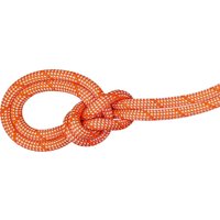 Mammut Crag Classic Rope 9.8 - Kletterseil von mammut