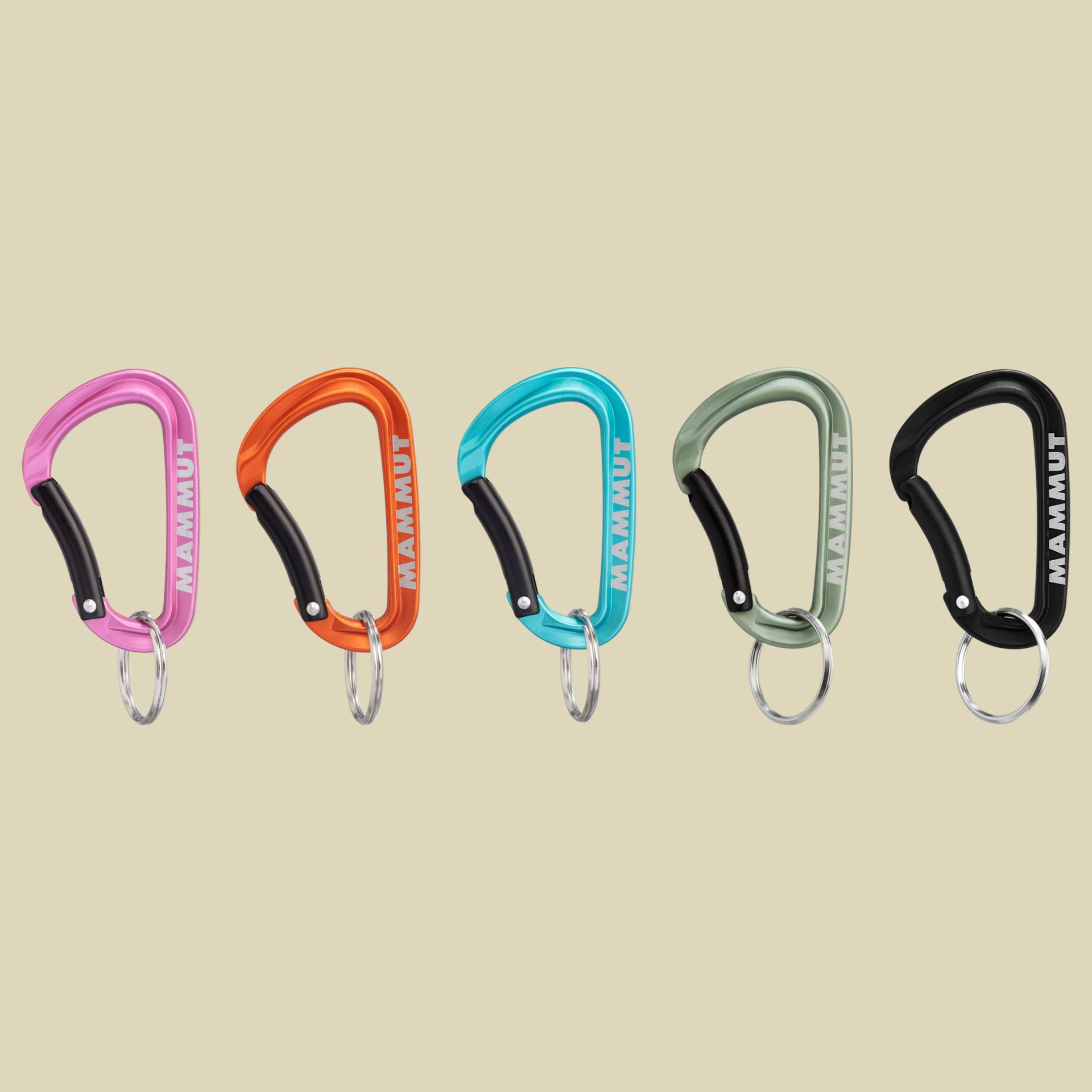 Mammut Mini Carabiner Classic Keylock S Größe 6 cm Farbe assorted Mammut Mini Carabiner Classic Keylock S Größe 6 cm Farbe assorted von mammut