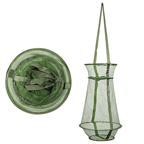 supsshop Angeln Net Mesh Fisch Falle Faltbar Fisch Käfig/Keep Netz/Korb für Halten Kunstköder Langusten Crab Fische Stint Elritzen Garnelen Hummer, die, faltbar Angeln Mesh Trap supsshop Angeln Net Mesh Fisch Falle Faltbar Fisch Käfig/Keep Netz/Korb für Halten Kunstköder Langusten Crab Fische Stint Elritzen Garnelen Hummer, die, faltbar Angeln Mesh Trap von mouhike