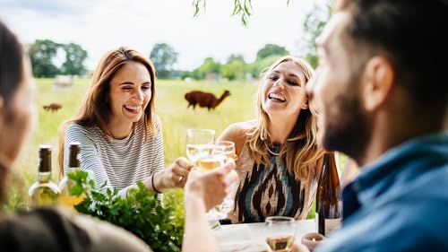 mydays Geschenkgutschein: Weinprobe auf der Alpakaweide mydays Geschenkgutschein: Weinprobe auf der Alpakaweide von mydays