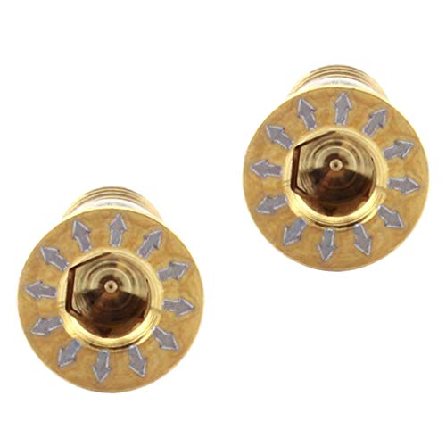 Perfeclan 2 Stücke Titanlegierung M5 X 16mm Fahrradschrauben Schrauben Für Fahrrad Schaltwerke - Golden Perfeclan 2 Stücke Titanlegierung M5 X 16mm Fahrradschrauben Schrauben Für Fahrrad Schaltwerke - Golden von Perfeclan