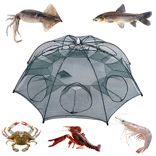 Tragbare Falle Fischfallen,Faltbares Netz,Tragbares Fischreusennetz,8-Loch-Fischreusen,Faltbares Nylon-Fischernetz zum Fangen von Aalen,Krabben,Hummer,Garnelen und Krabben Tragbare Falle Fischfallen,Faltbares Netz,Tragbares Fischreusennetz,8-Loch-Fischreusen,Faltbares Nylon-Fischernetz zum Fangen von Aalen,Krabben,Hummer,Garnelen und Krabben von plplaaoo