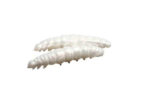 pro-bite Libra Lures Larva 30mm | Forellenköder Supersoft | Inhalt: 15 Stück | Aroma: Käse | Farbe: 000 / Glow UV Green pro-bite Libra Lures Larva 30mm | Forellenköder Supersoft | Inhalt: 15 Stück | Aroma: Käse | Farbe: 000 / Glow UV Green von pro-bite