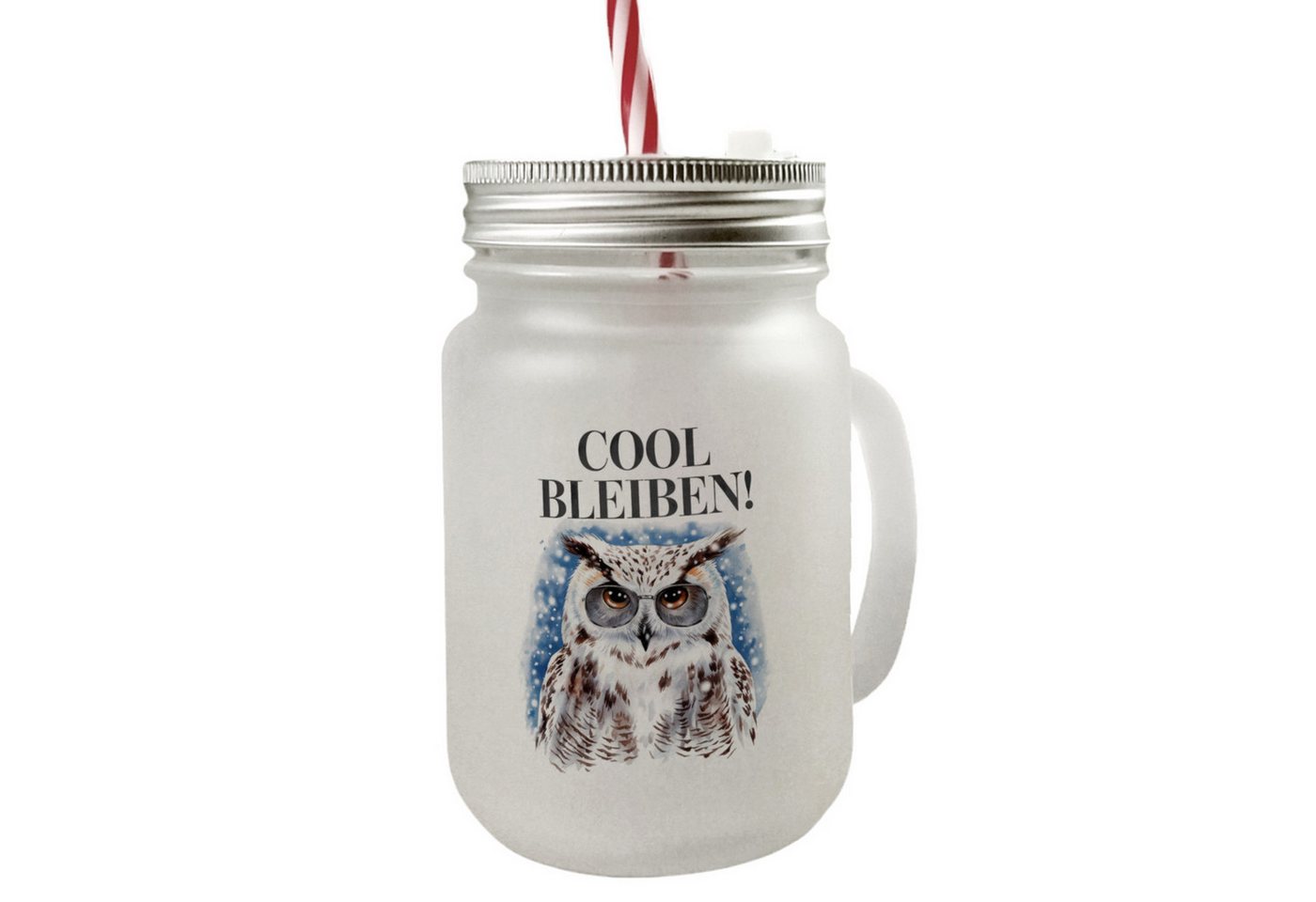 speecheese Glas Schneeeule mit Sonnenbrille Cool bleiben Mason Jar Henkel Trinkglas speecheese Glas Schneeeule mit Sonnenbrille Cool bleiben Mason Jar Henkel Trinkglas von speecheese