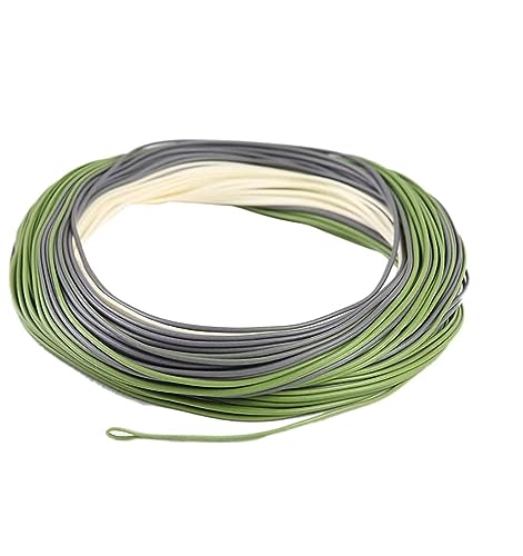 MAXIMUMCATCH TroutLite DT Fliegenschnur 3/4/5/6F 90FT Double Taper Fliegenfischen Schnur mit 2 Schlaufen, Beige/Grau/Salbei (DT6F) von sprinton