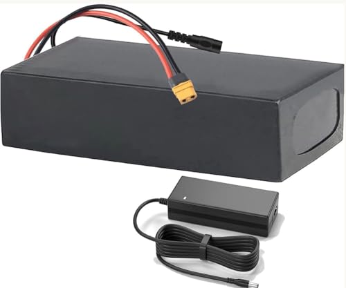 Batterie 24V 36V 48V Wasserdichter Lithium-Akku 10Ah 12Ah 15Ah 18Ah 20Ah 25Ah Li-Ionen-Akku Fahrrad-Batterien E-Bike Akku für 0-1000W Motor 29.4V 12AH(1),T von stdpcxz